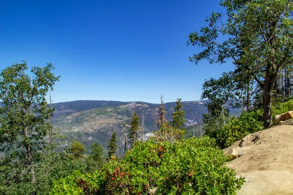 Nézd a Yosemite-völgy a völgybe. Yosemite National Park, Kalifornia — Stock Fotó