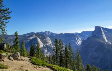 Yeşillik, dağ ve açık mavi gökyüzü Sequoia Ulusal Parkı'nda çerçeveli sekoya ağacı