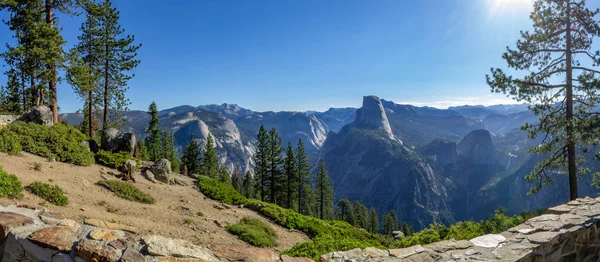Séquoia encadré par la verdure, la montagne et le ciel bleu clair dans le parc national Sequoia — Photo