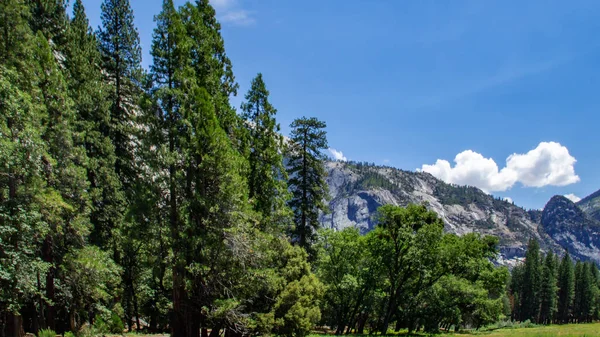 Blick auf das Yosemite-Tal ins Tal. Yosemite-Nationalpark, Kalifornien — Stockfoto