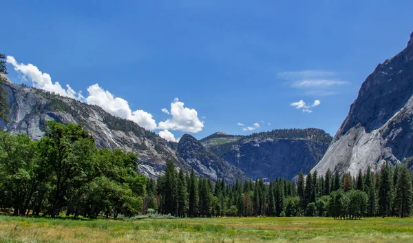 Vue sur la vallée de Yosemite dans la vallée. Parc national de Yosemite, Californie — Photo