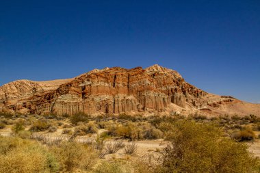 güzel ilham verici manzara - Ölüm Vadisi Milli Parkı önünde duran