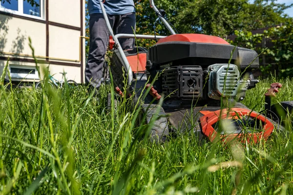 A man moves with a lawn mower and mows green grass. Garden care concept