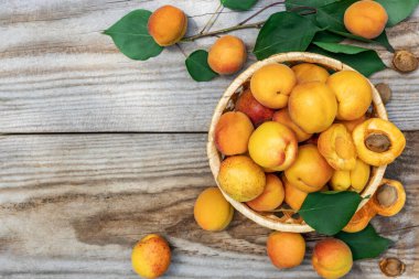 Tahta tahtalarda sepetin içinde kayısılar, yukarıdan aşağıya doğru. Taze meyve kavramı