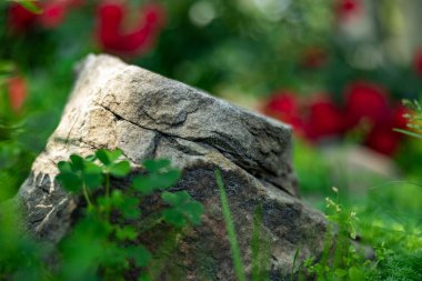 Yeşil çimlerin üzerinde uzanan büyük bir taş, yakın plan, sığ alan derinliği, seçici odaklanma. Doğa konsepti.