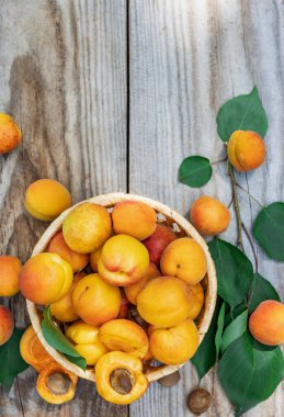 Tahta tahtalarda sepetin içinde kayısılar, yukarıdan aşağıya doğru. Taze meyve kavramı