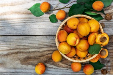 Tahta tahtalarda sepetin içinde kayısılar, yukarıdan aşağıya doğru. Taze meyve kavramı