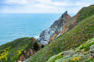 Pasifik, Kaliforniya yakınlarındaki Gray Whale Cove Trail yakınlarındaki 1. Otoyol kıyı şeridi, okyanus dalgaları, engebeli uçurumlar ve Pasifik kıyısı boyunca yemyeşil tepeler.