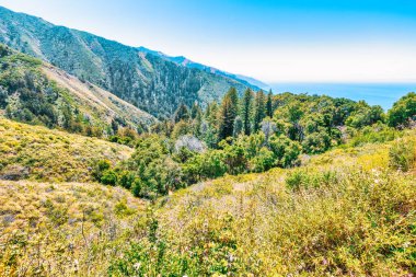 Büyük Sur yakınlarındaki yeşil tepeler ve orman dağları, Pasifik Okyanusu 'nun olduğu Büyük Sur yakınlarında, manzaralı kıyı manzarası, doğa ve açık hava seyahati yakalıyor.