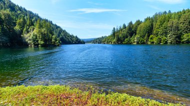Scenic view of Loch Lomond Recreation Area in Santa Cruz Mountains, California USA, with clear blue water, forested hills, and summer sky reflecting tranquility and natural beauty