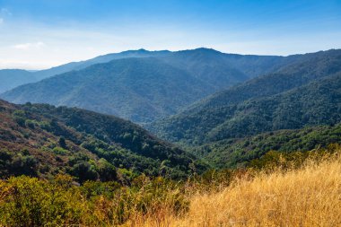 Scenic mountain landscape along trail to Mount Umunhum Cube in Sierra Azul Preserve, California, USA. Rolling forested hills and golden grass under clear blue sky showcase the beauty of the Santa Cruz Mountains