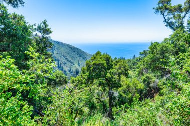 Büyük Sur yakınlarındaki yeşil tepeler ve orman dağları, Pasifik Okyanusu 'nun olduğu Büyük Sur yakınlarında, manzaralı kıyı manzarası, doğa ve açık hava seyahati yakalıyor.