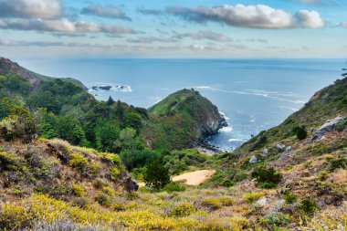 Scenic view of Partington Cove in Big Sur, California. Rugged cliffs, lush greenery, and the Pacific Ocean create a dramatic coastal landscape, a popular hiking and travel destination along Highway 1