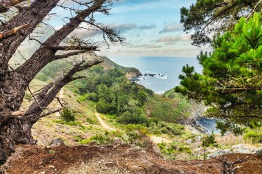 Scenic view of Partington Cove in Big Sur, California. Rugged cliffs, lush greenery, and the Pacific Ocean create a dramatic coastal landscape, a popular hiking and travel destination along Highway 1