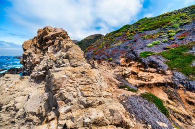 Rocky tide pool along the Big Sur coastline, Highway 1, California. Dark volcanic cliffs with green algae contrast against the blue Pacific Ocean, showcasing the raw beauty of the California coast