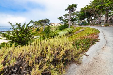 Charming street in Carmel California USA with coastal houses, iconic cypress trees, lush greenery, and scenic views of the Pacific Ocean, capturing the beauty of this coastal town
