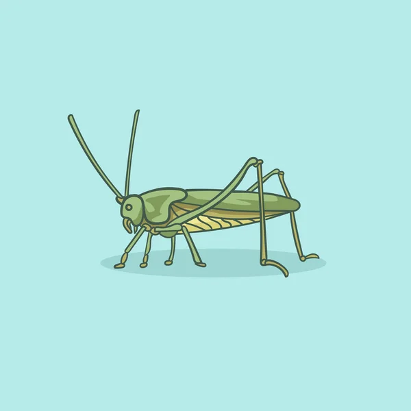 Vector illustration of a grasshopper — Stock Vector