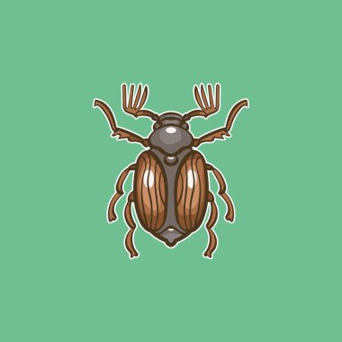 Chafer. Vektör çizim