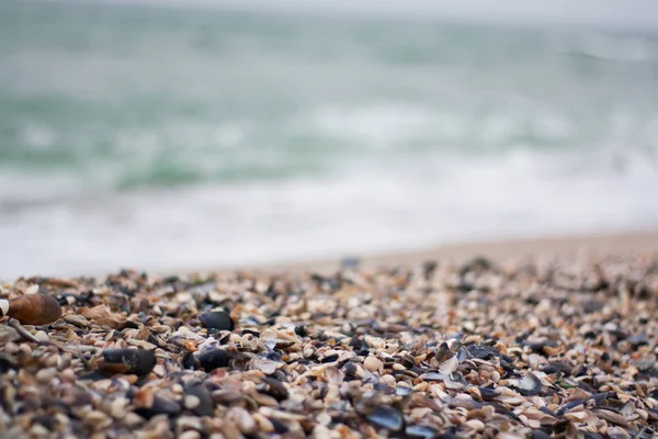 Çakıl plaj, yakın, deniz üzerinde arka plan dalgalar