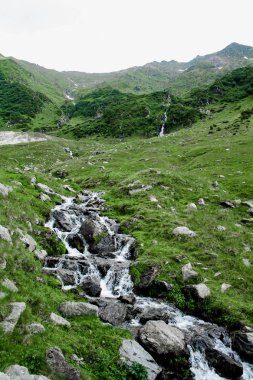 Dağ nehir yeşil çim ve Romanya, Transfagarasan taşlar arasında bir şelale