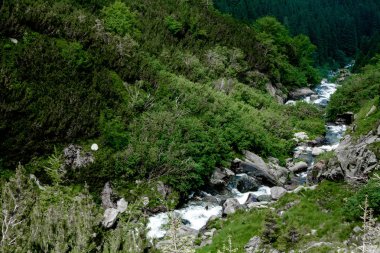Dağ nehir yeşil çim ve Romanya, Transfagarasan taşlar arasında bir şelale
