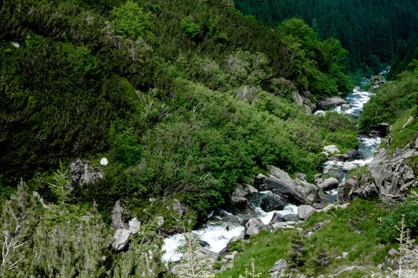 Dağ nehir yeşil çim ve Romanya, Transfagarasan taşlar arasında bir şelale