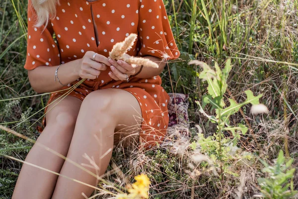 Mulher Bonita Caminha Campo Recolhe Buquê Flores Espiguetas Tece Uma — Fotografia de Stock