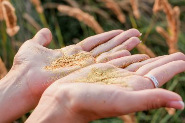 Alan arka planda altın glitter kadın elinde poz