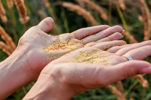 Posing female hands in golden glitter in the field background