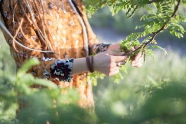 Olan dreadlocks ormanda günbatımı sahip, güzel hippi kadın portre iyi vakit açık havada