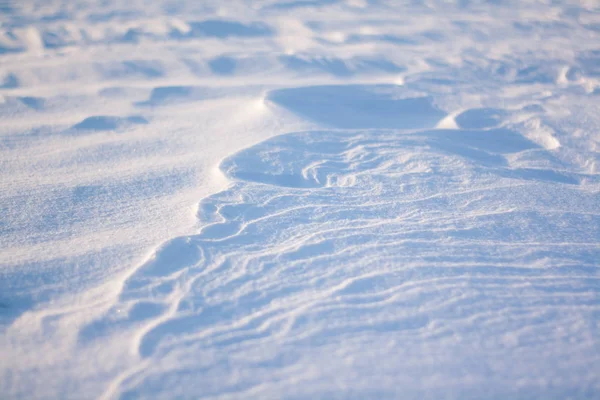 Background Fresh Snow Texture Blue Tone — Stock Photo, Image