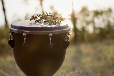 Şaman kavramı. Djembe kartopu Sunset'teki dalı ile. Yakın çekim