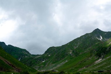 Doğal manzaralı, transfagarasan, Romanya sis kefen herdem yeşil iğne yapraklılar ile düşük yalancı bulutta ormanlık dağ yamacı