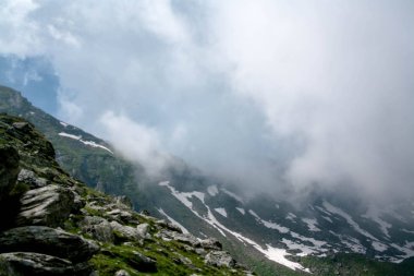 Doğal manzaralı, transfagarasan, Romanya sis kefen herdem yeşil iğne yapraklılar ile düşük yalancı bulutta ormanlık dağ yamacı