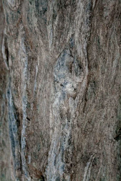 花岗岩背景 质地的灰色花岗岩石 灰色色调的自然模式 抽象背景 — 图库照片