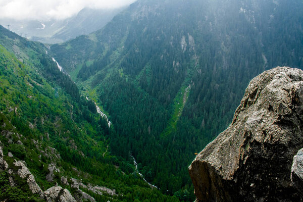 Forested mountain slope in low lying cloud with the evergreen conifers shrouded in mist in a scenic landscape view, transfagarasan, romania