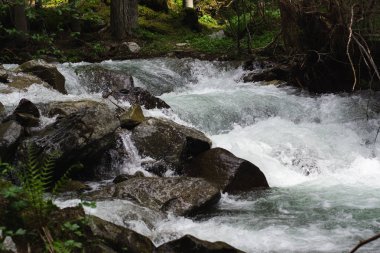 Alpler'deki dağ nehri. dolomit alplerde güzel şelaleler ve kayalar. 