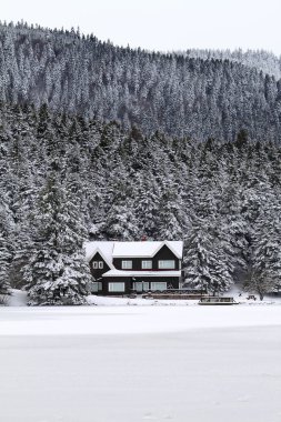 Kış aylarında göl evi sahil gölcük Gölü