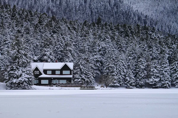 Lago Casa Costa Golcuk Lago Invierno — Foto de Stock