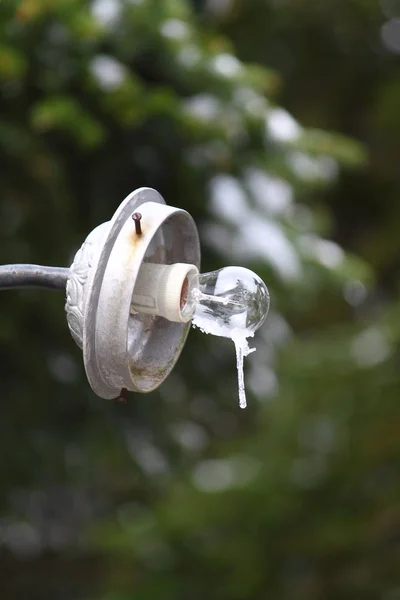 Snow Winter Day Frozen Lamp Snow — Stock Photo, Image