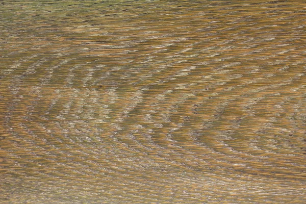 Trä Textur Background Cropped Skott Texturerat Bakgrund Träd Konsistens Träd — Stockfoto