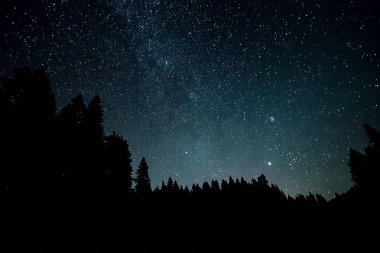 Perseid Meteor yağmuru ve yıldız