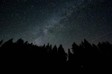 Perseid Meteor yağmuru ve yıldız