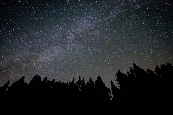 Perseid Meteor Shower and stars