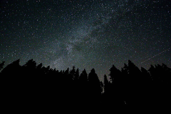 Perseid Meteor Shower and stars
