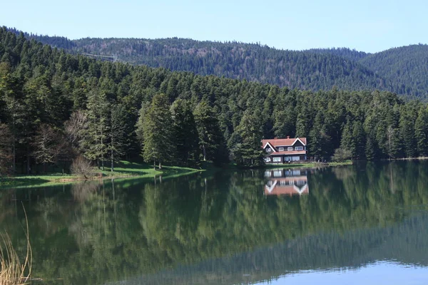 Dřevěný Dům Jezera Uvnitř Lesa Národním Parku Bolu Golcuk Turecko — Stock fotografie