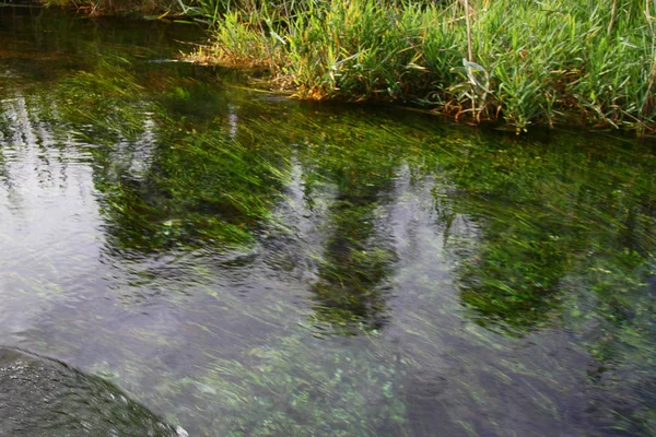 Tło Morze Ocean Jeździć Fale Oceanie Fale Morskie Fale Morskie — Zdjęcie stockowe