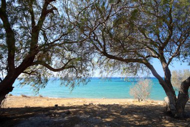 Deniz kenti Bodrum ve muhteşem gün batımları. Mugla, Türkiye