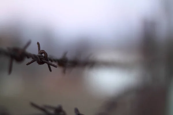 Barbed Wire Background Desert Bokeh — Stock Photo, Image