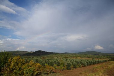 üzerinde bir alan ve bir gökkuşağı ile güzel bahar manzara panorama. çift gökkuşağı gökyüzünde parlar, panoramik görünümü